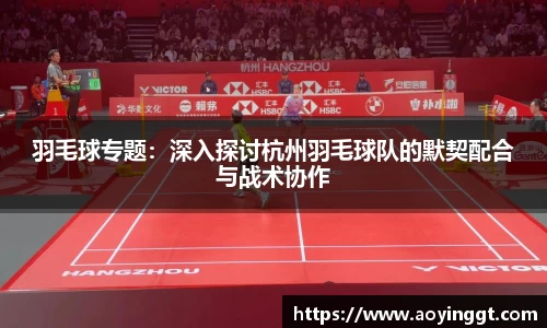 羽毛球专题：深入探讨杭州羽毛球队的默契配合与战术协作
